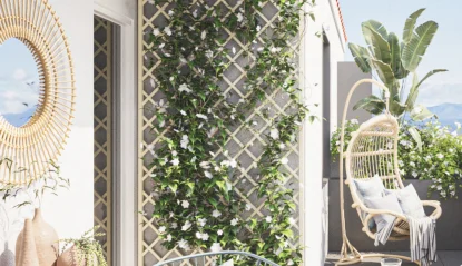 les alberes - forca real - allotement sofidec