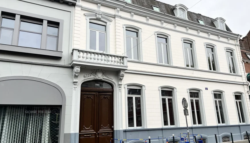 le vieux hêtre pourpre