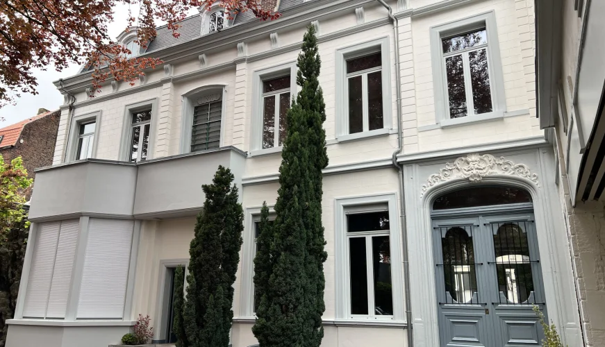 le vieux hêtre pourpre